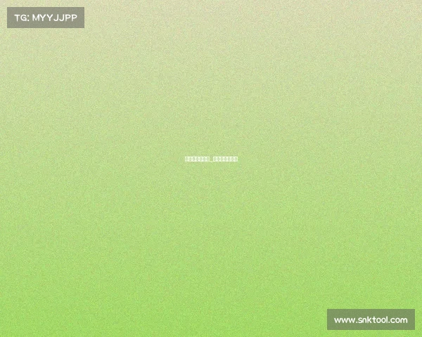 加内特夺冠赛事_加内特夺冠阵容