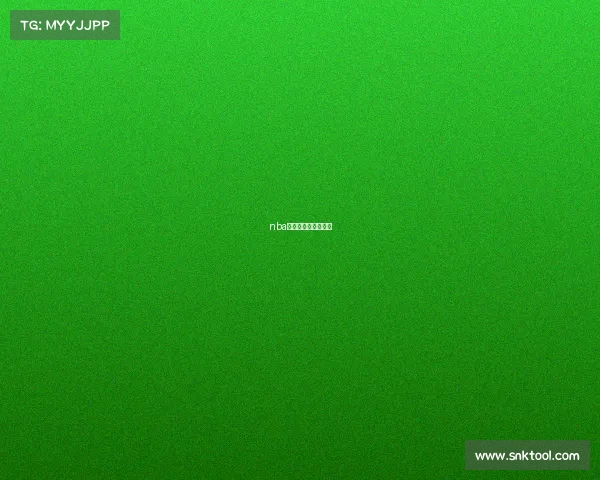 nba的赛制是怎么安排的