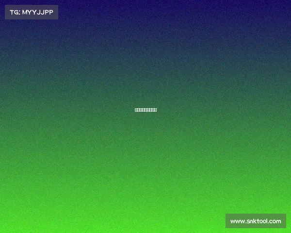 模特赛事的基本流程